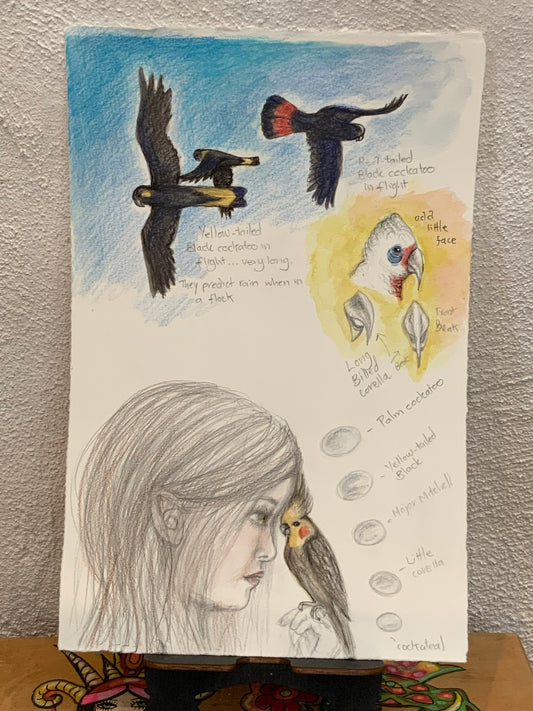 Saffron and the Cockatoos