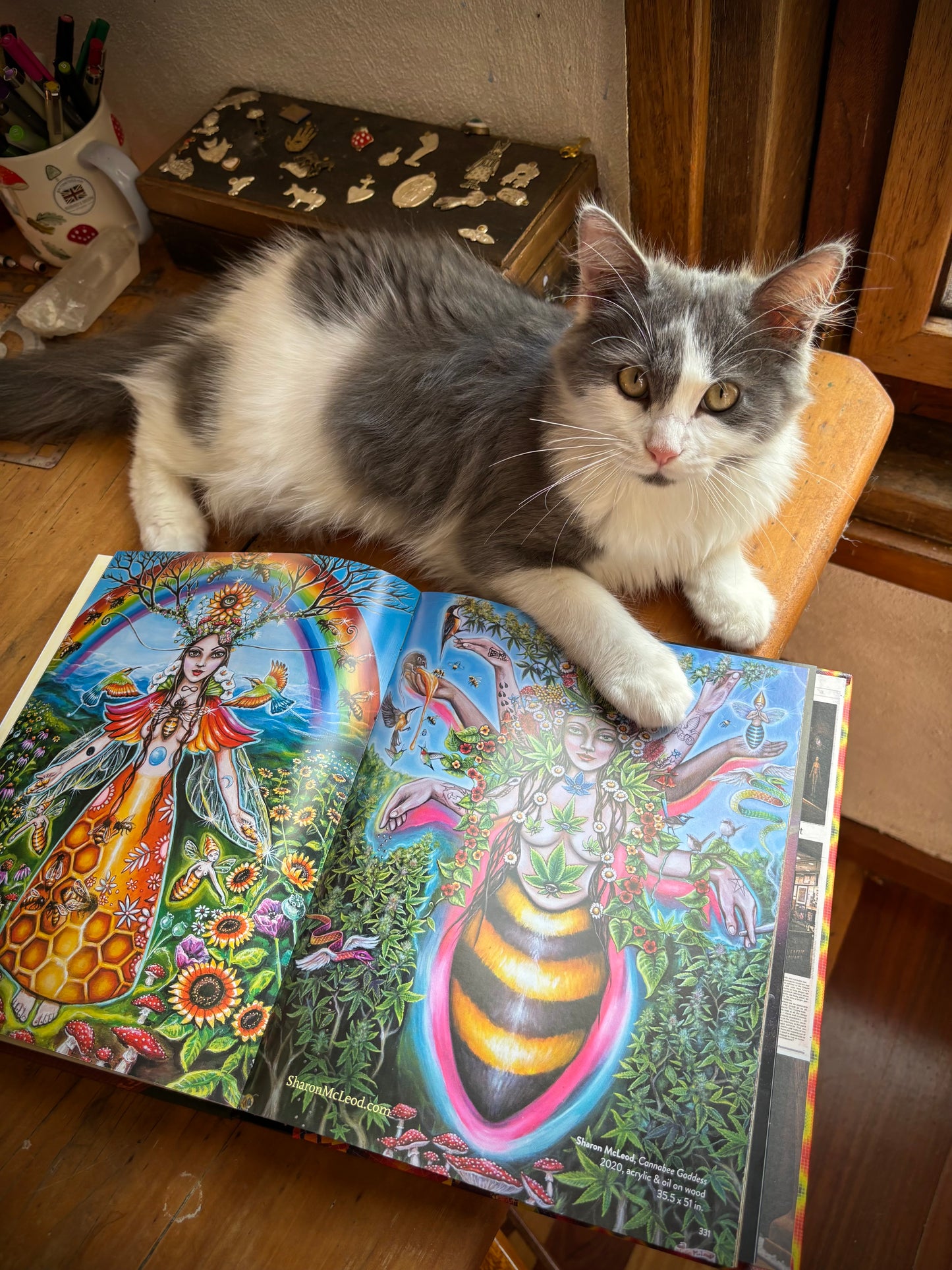 Chapel of Sacred Mirrors Visionary Art Journal