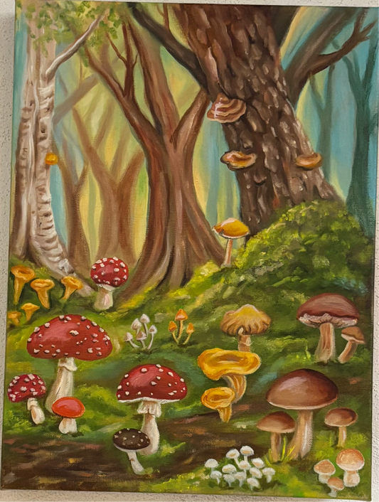 Enchanted Forest