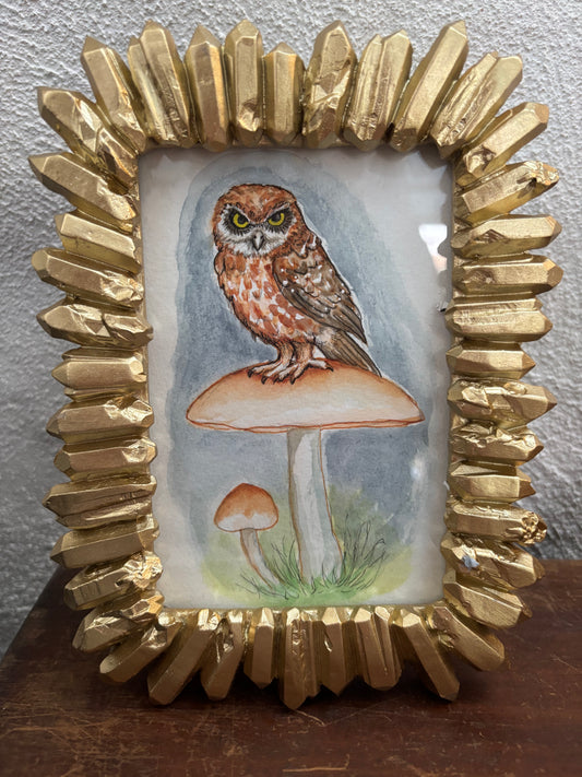 Owl on Golden top mushroom