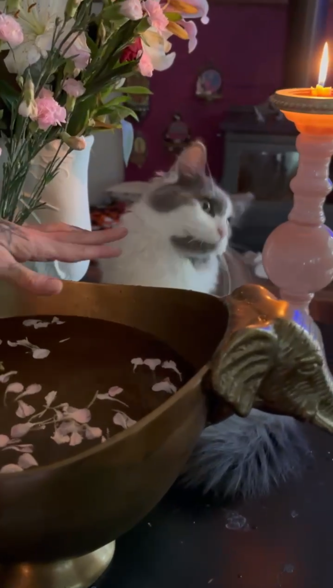 Flower Petal Reading Party Saturday 14th February, 2026