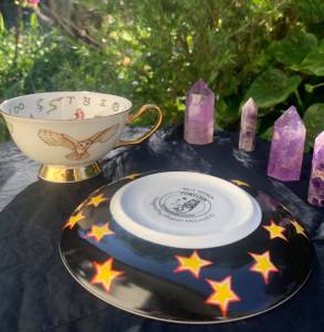 owl witch teacup and saucer set